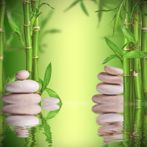 Spa still life with white stones and bamboo sprouts with free space for text