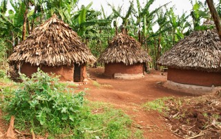 Traditional african huts, Uganda