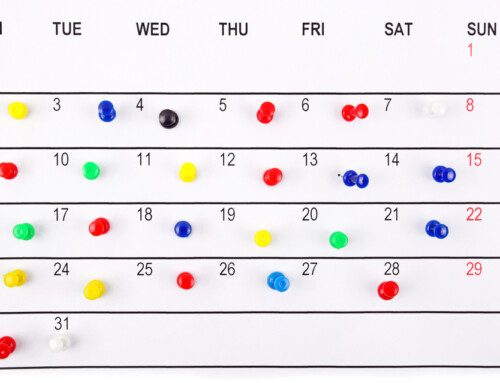 why must our parenting schedule have so many details?